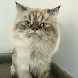 Meet your Posher, Cortney